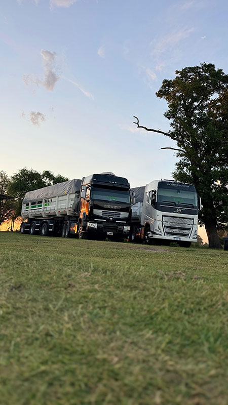 Logística Tres Lomas Logística Tres Lomas