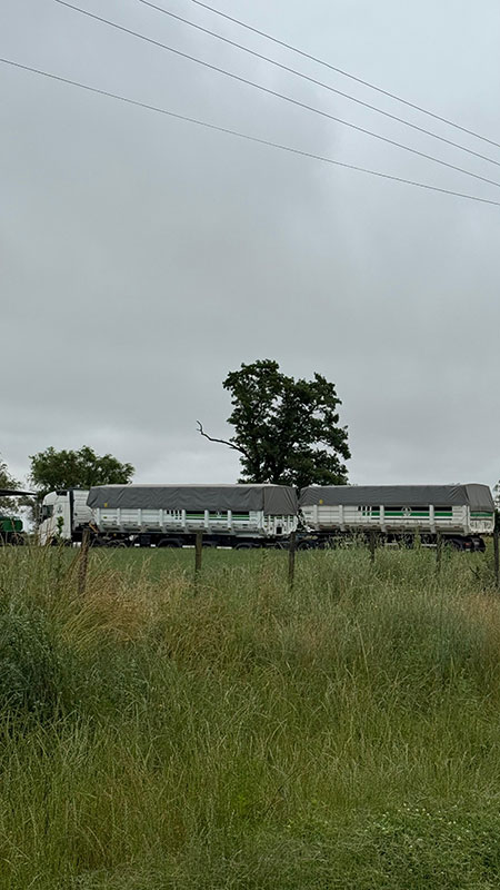 Logística Tres Lomas Logística Tres Lomas